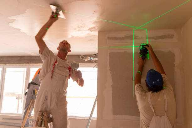 Best Black Mold Removal  in Northwest Harwinton, CT
